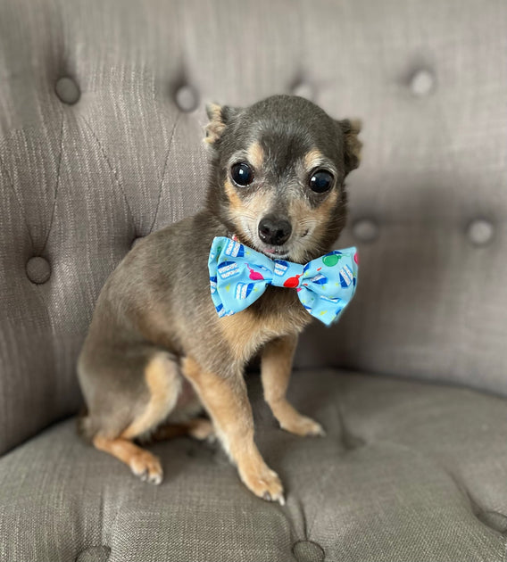 Blueberry Pet American Flag Bowtie Dog Collar