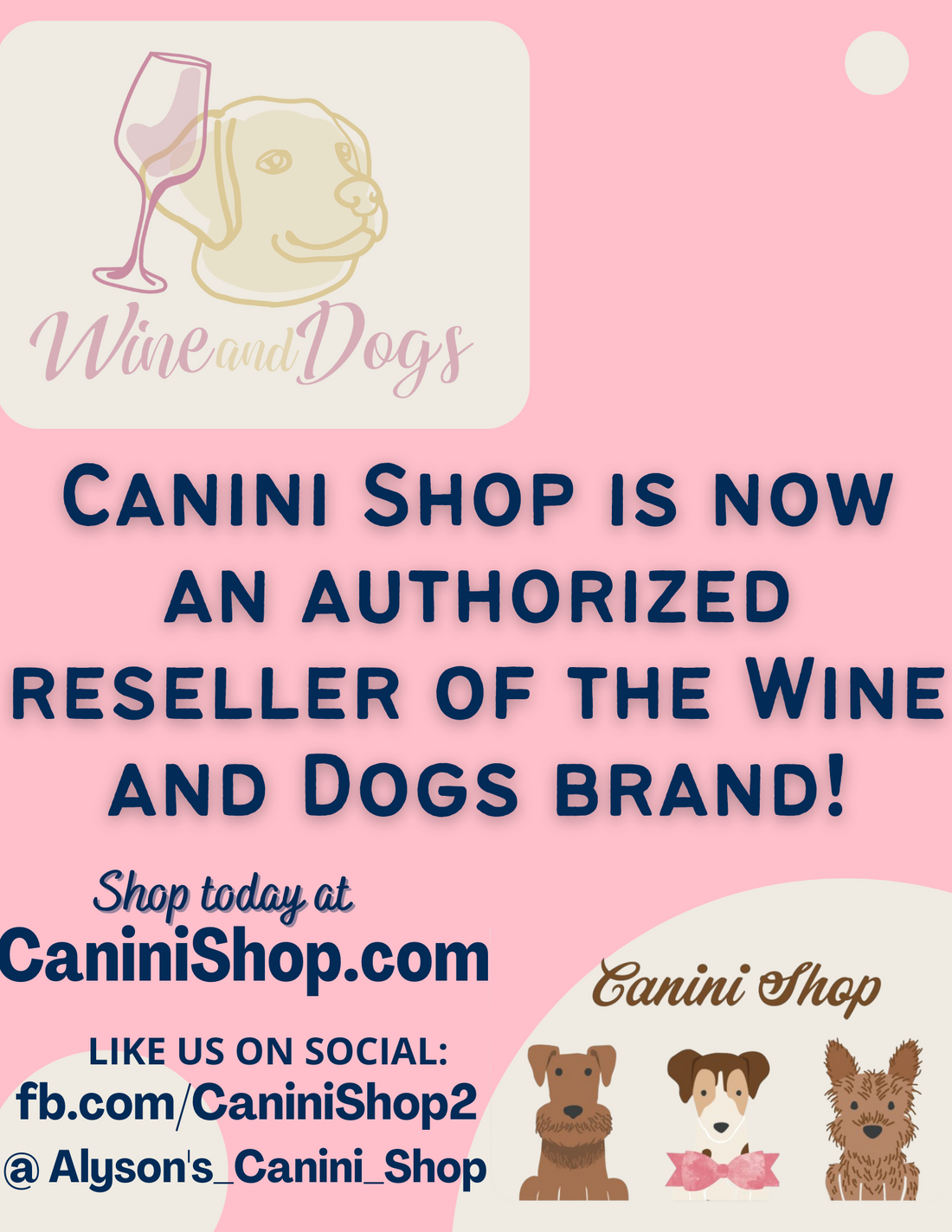 Canini Shop is growing!