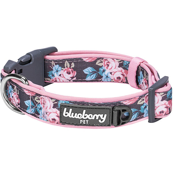 Blueberry Pet Collars and Harnesses