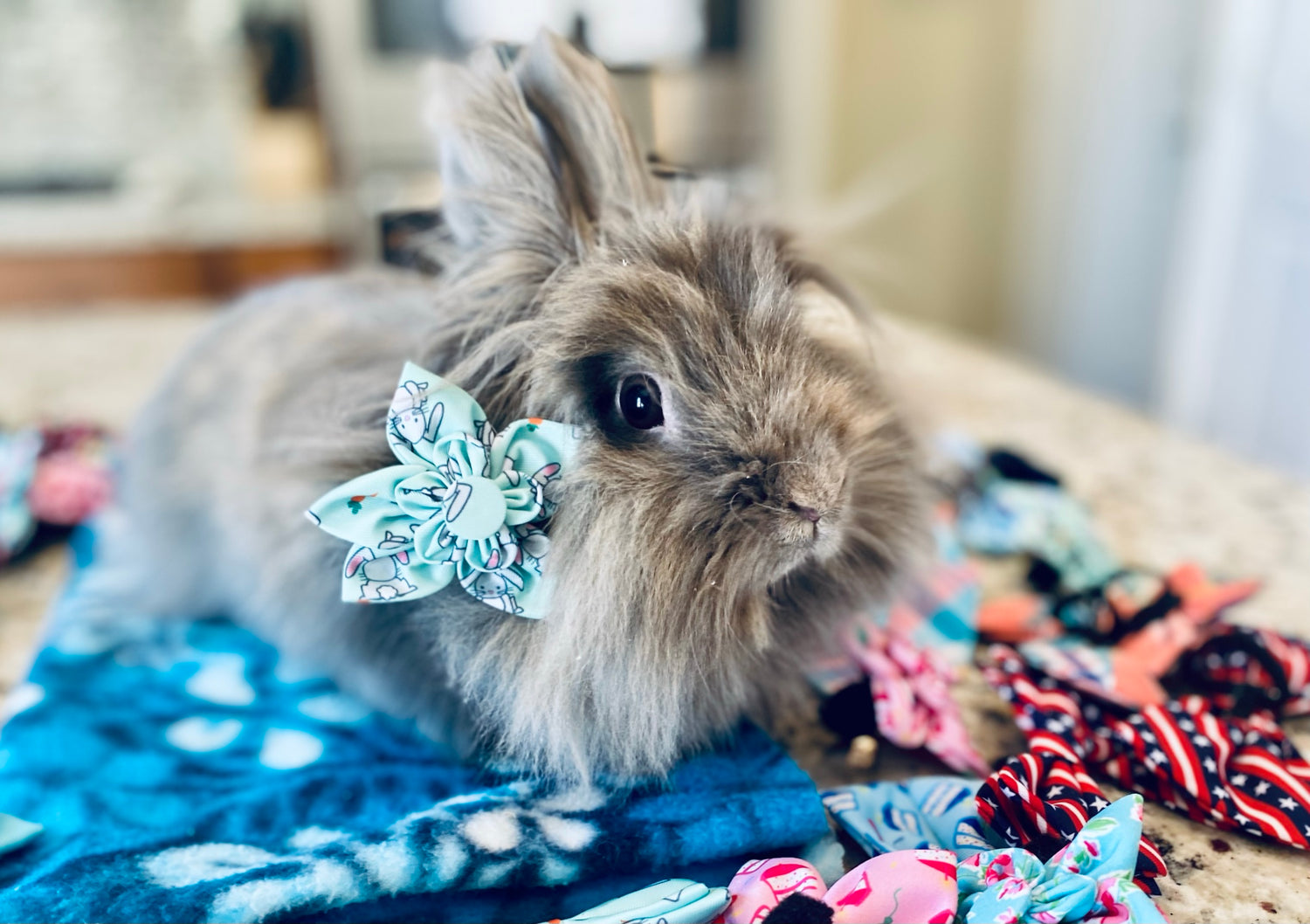 Pet Flower Bows