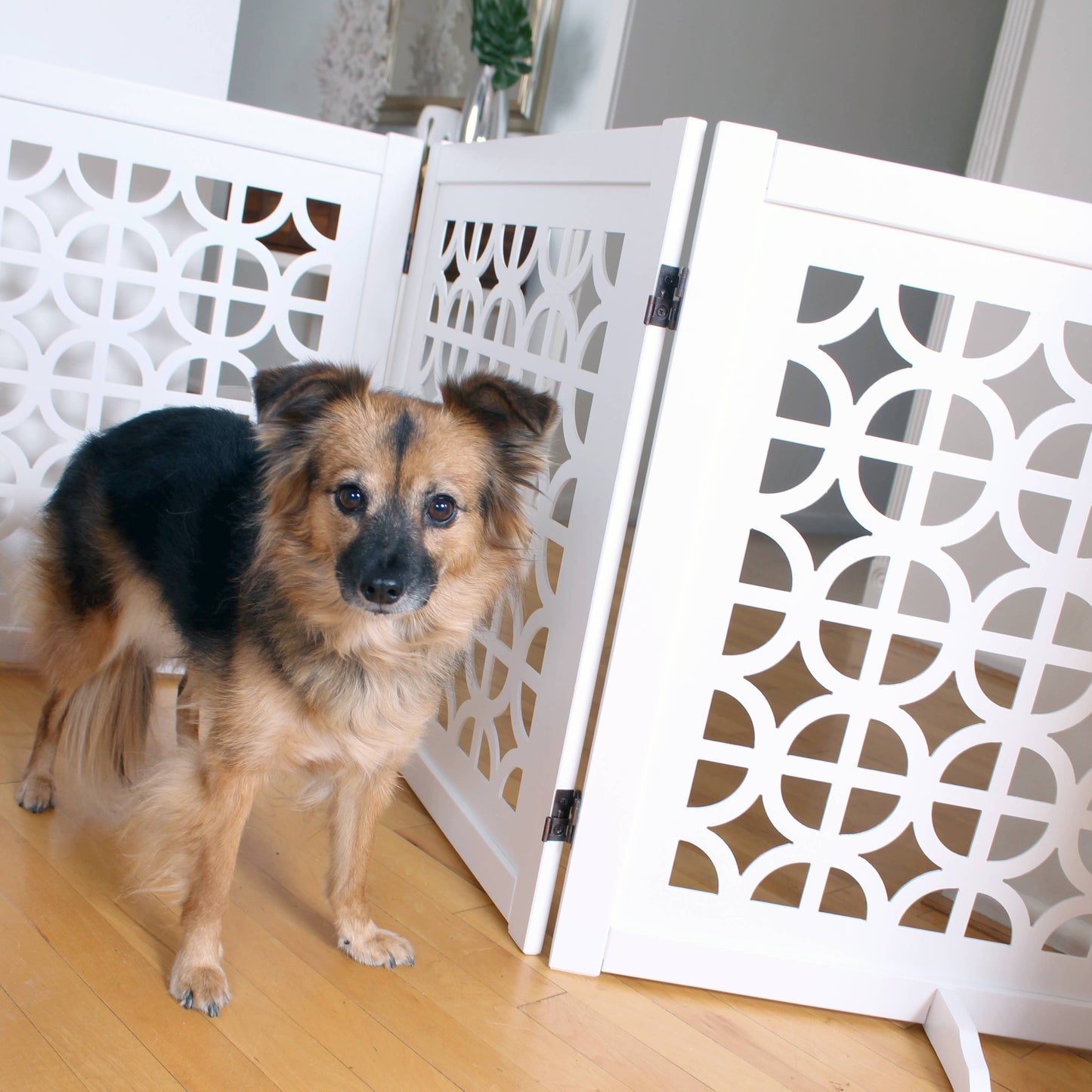 Primetime Petz Palm Springs Solid Wood Freestanding Designer Pet Gate (White)