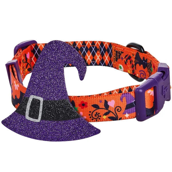 Blueberry Pet - Halloween Witch Collar