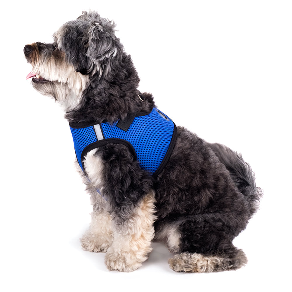 Solid Color Sidekick Dog Harness