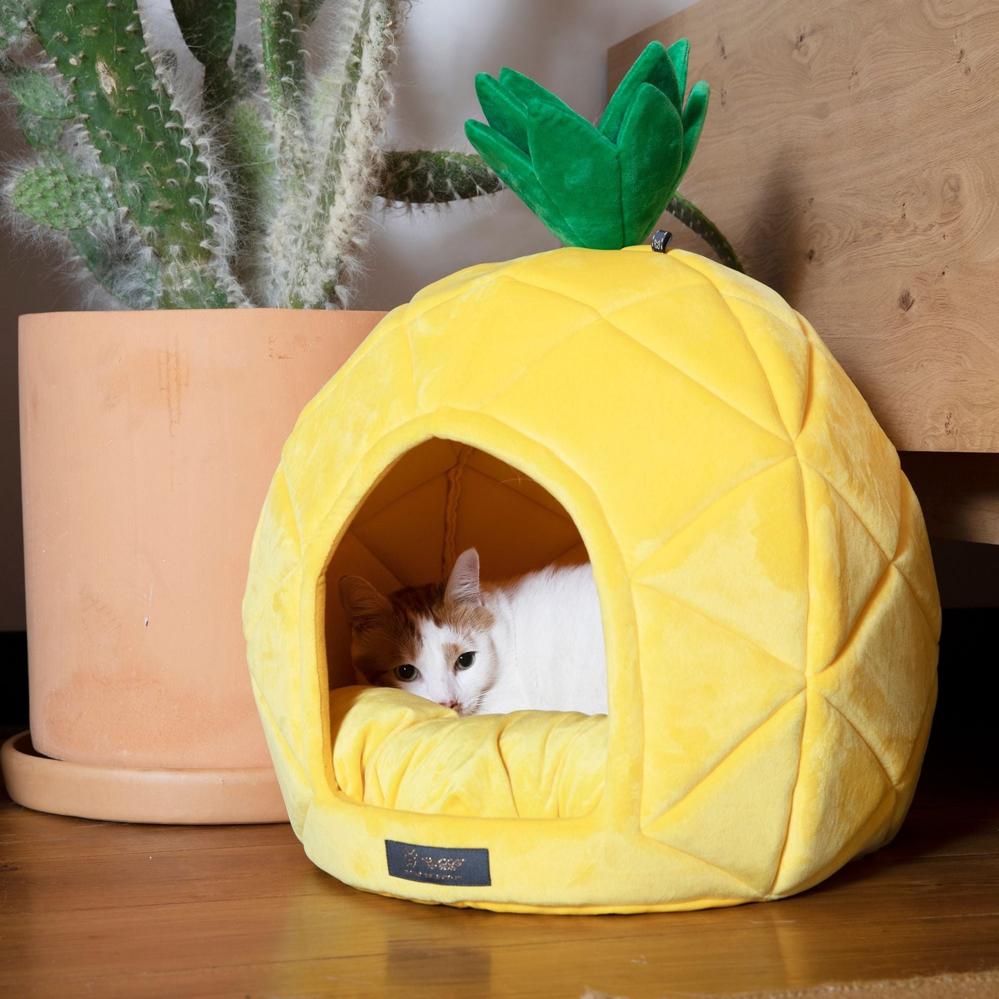 NANDOG - Pineapple Dog & Cat Fun Bed – Prive Collection