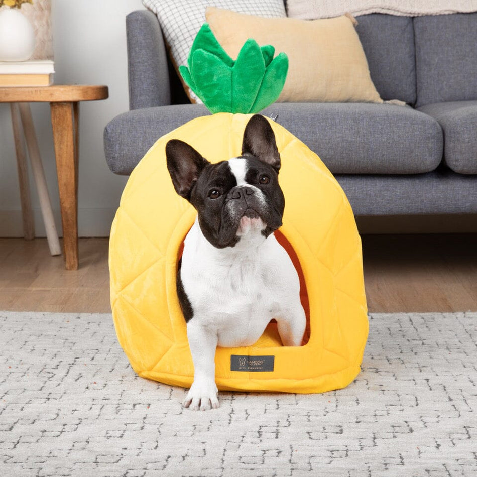 NANDOG - Pineapple Dog & Cat Fun Bed – Prive Collection