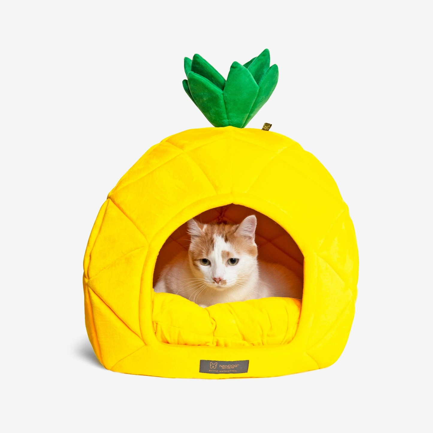 Nandog cat bed best sale