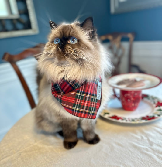 Red, green and white plaid pet bandana