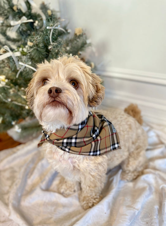 Tan Plaid pet bandana