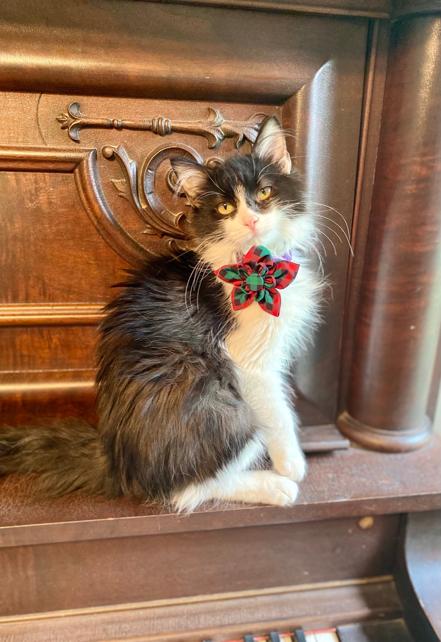 Holiday Plaid Pet Flower bow