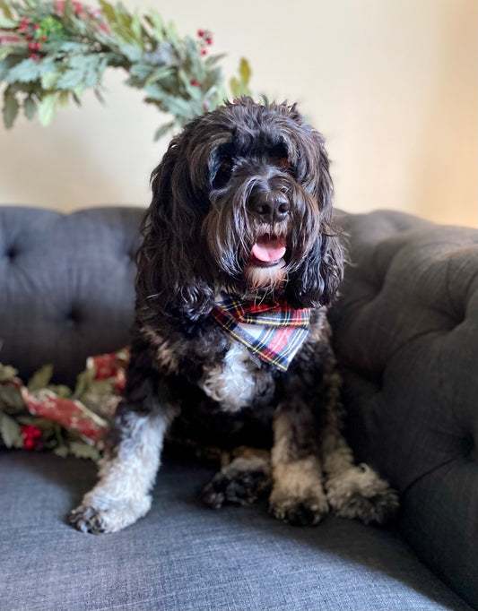 Red plaid pet bandana