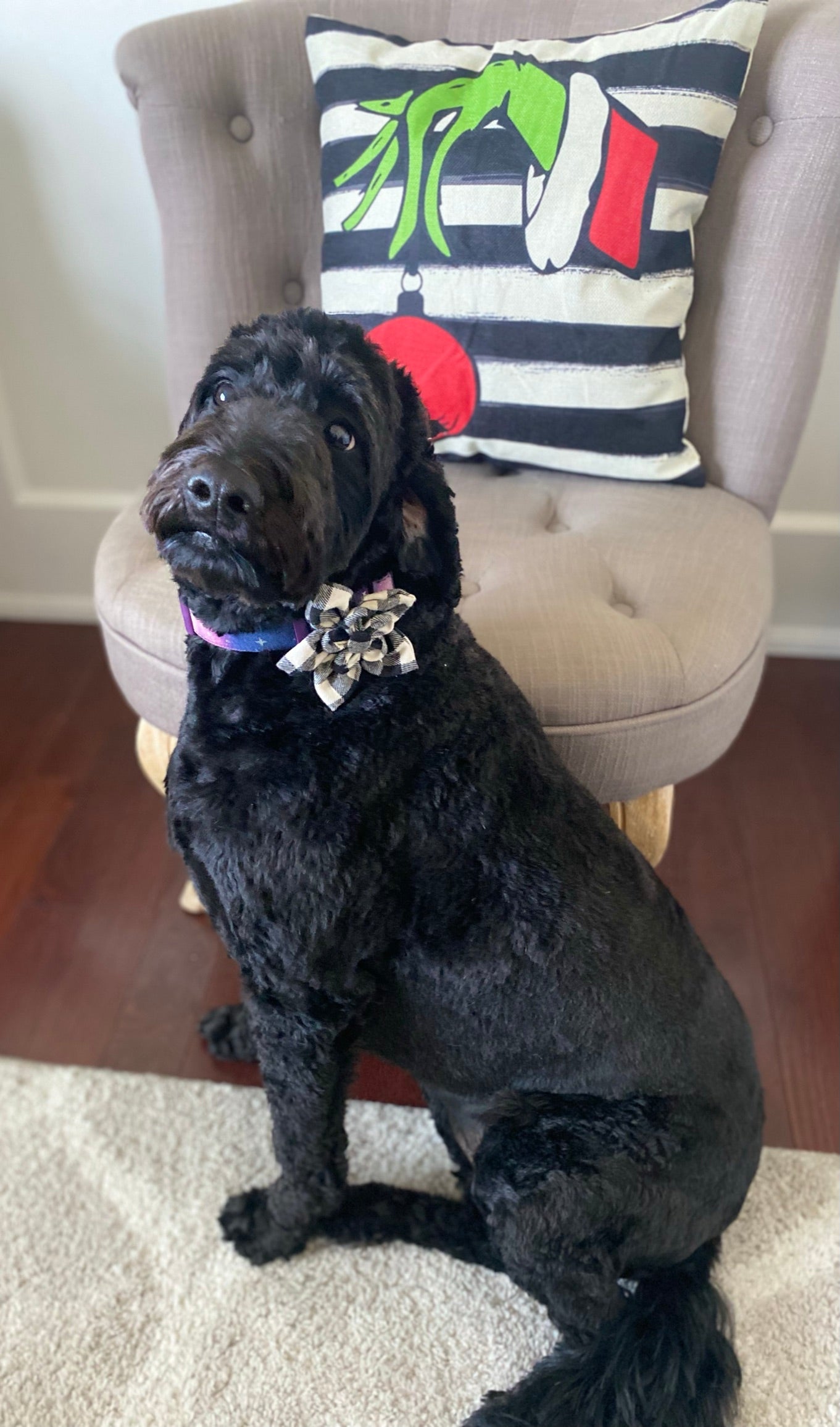 Black and off-white buffalo check pet flower bow