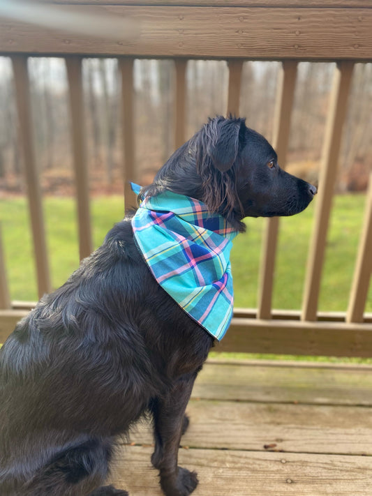 Blue and purple plaid pet bandana