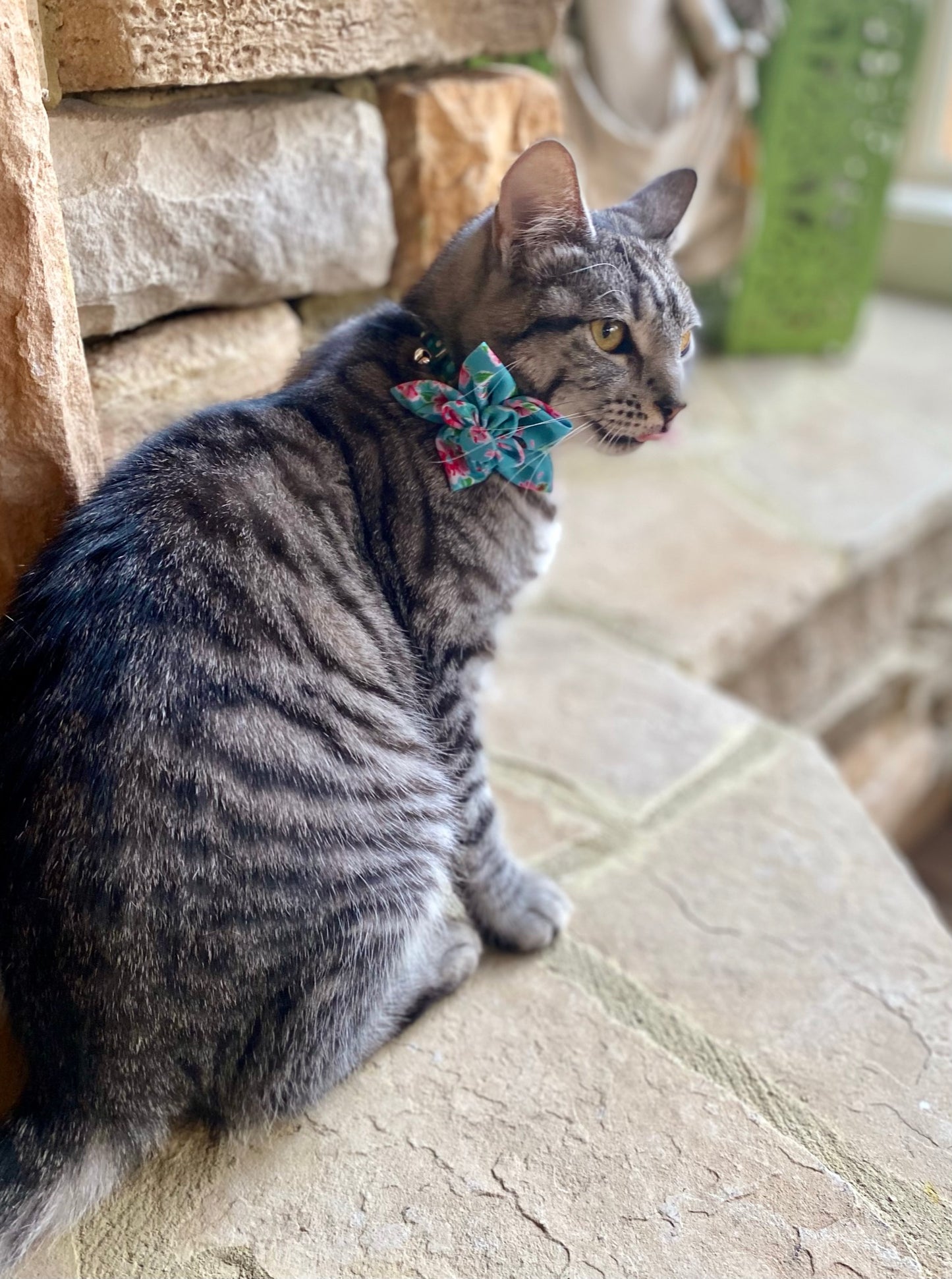 Floral Pet flower bow