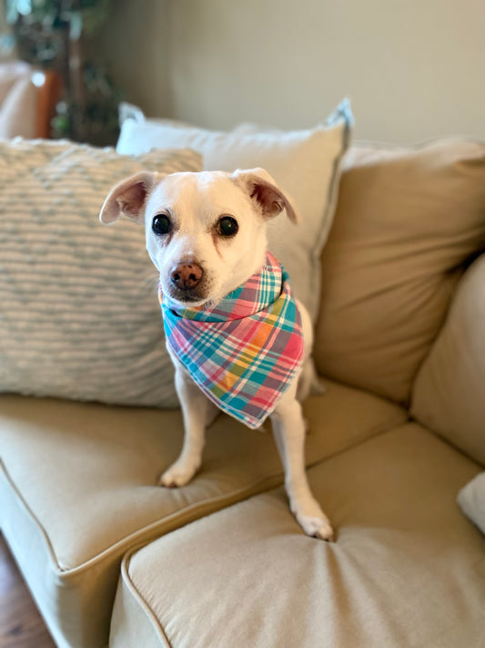 Blue, pink and yellow plaid pet bandana