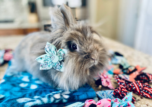 Easter Pet Flower Bow