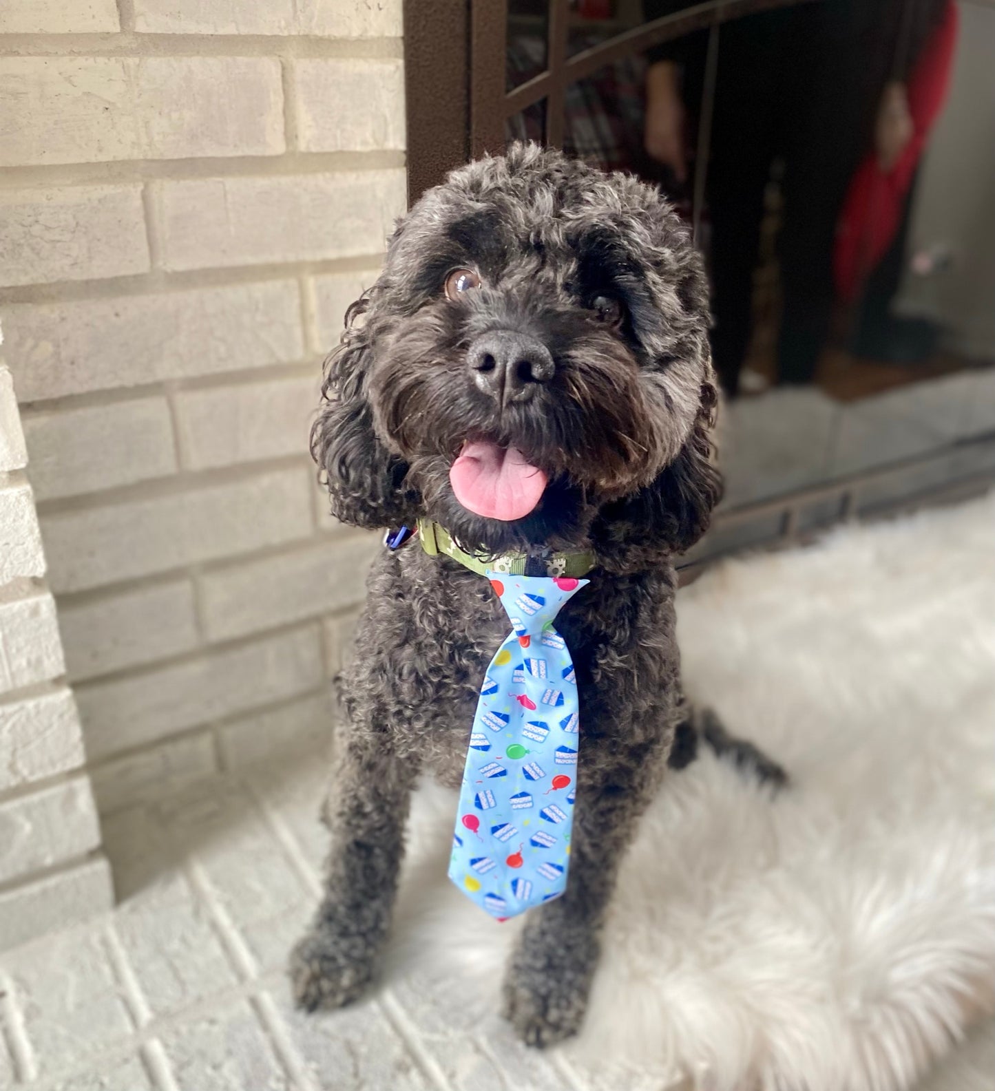 Birthday Boy Pet Tie