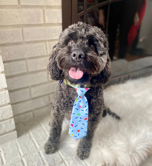 Birthday Boy Pet Tie