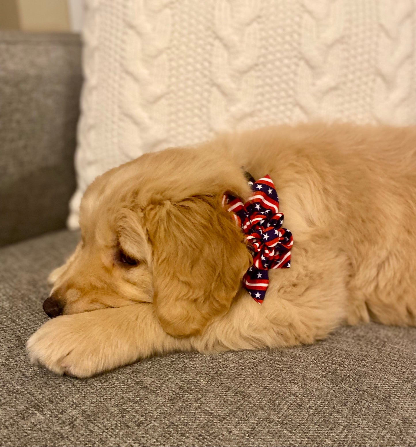 Worthy Dog - American Flag Flower Bow