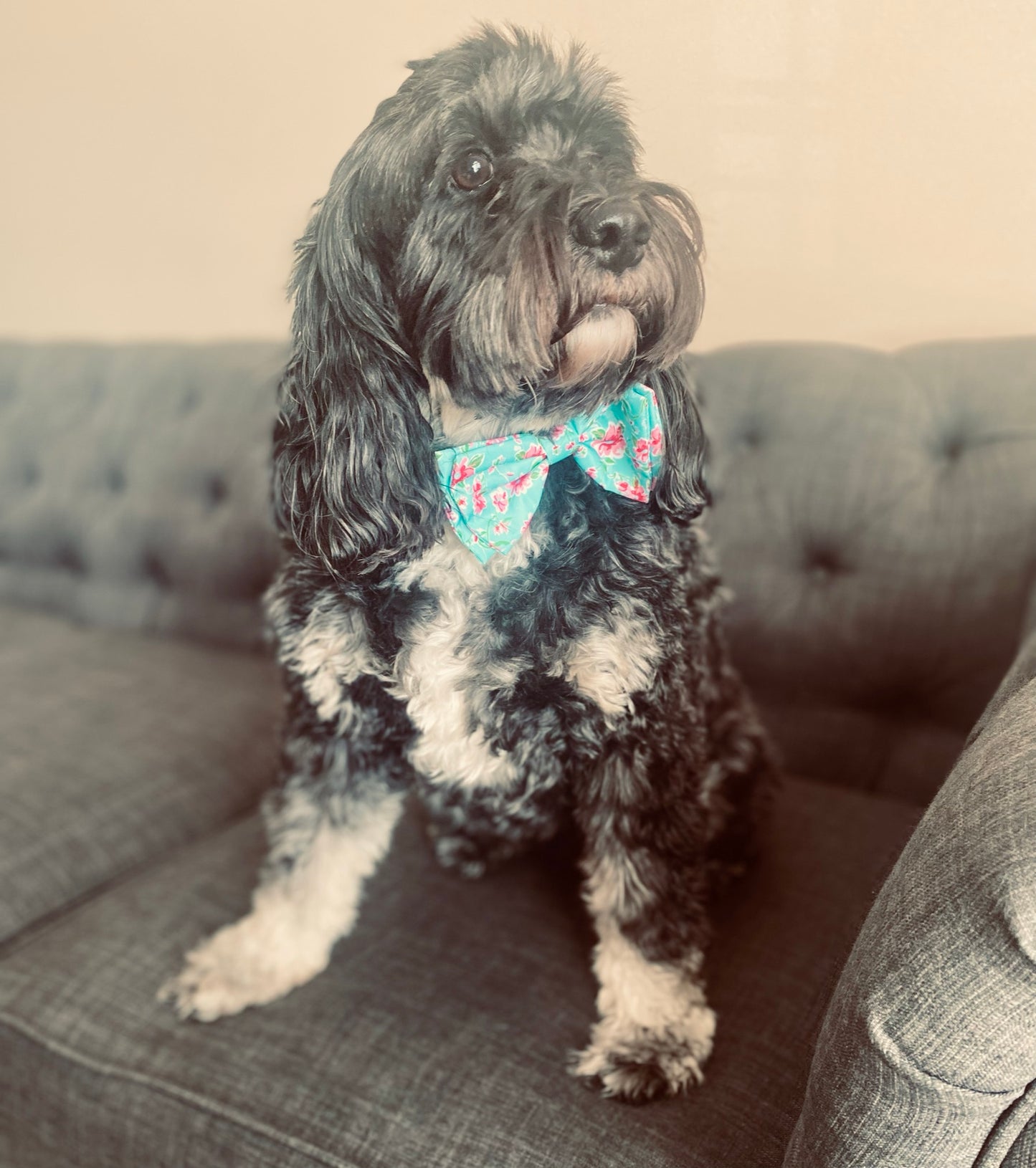 Light blue and floral dog bow