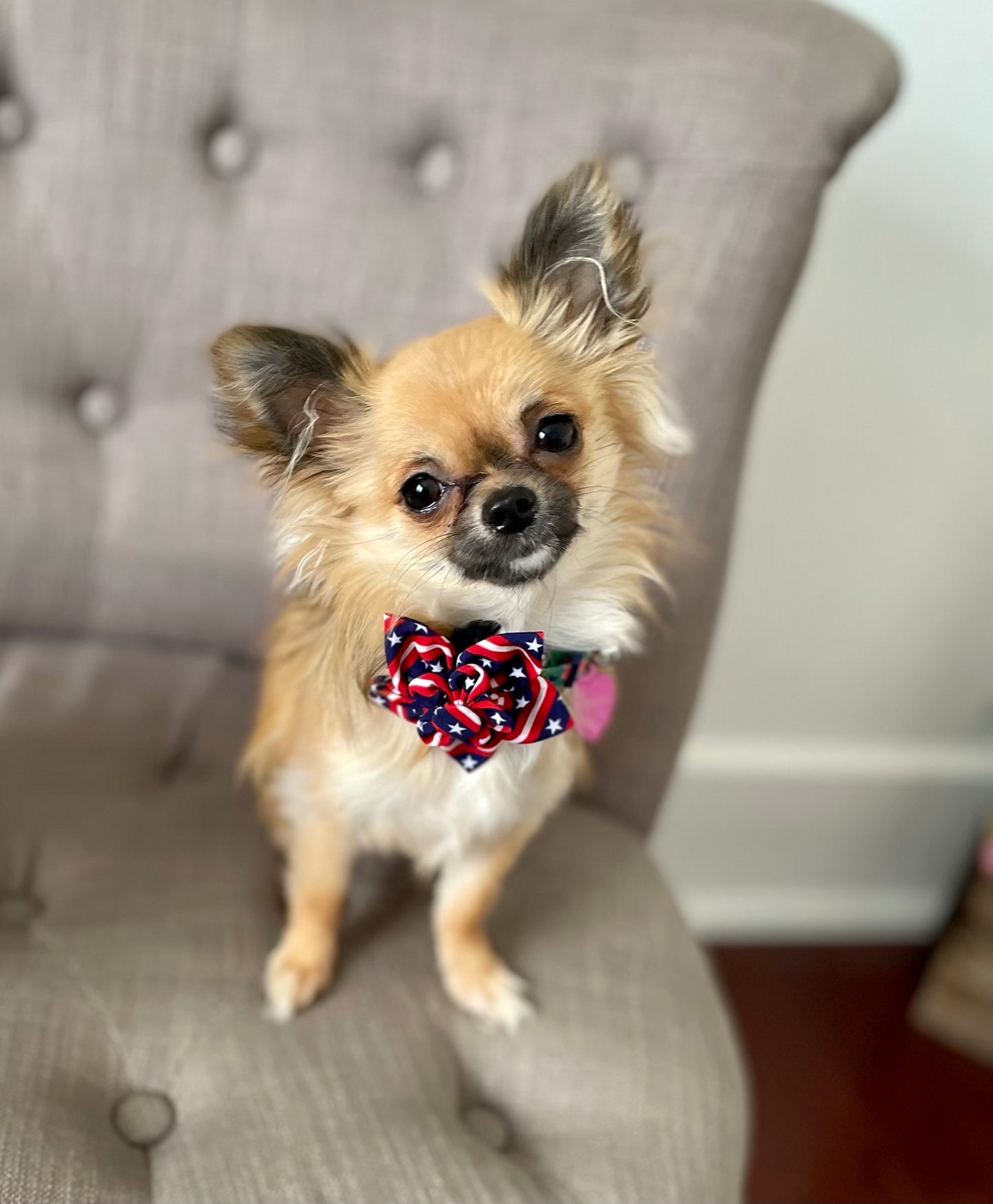 Worthy Dog - American Flag Flower Bow