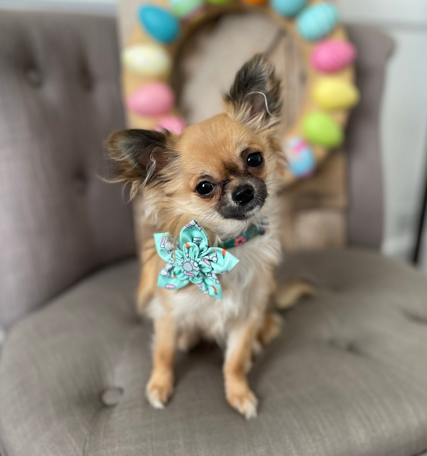 Easter Pet Flower Bow