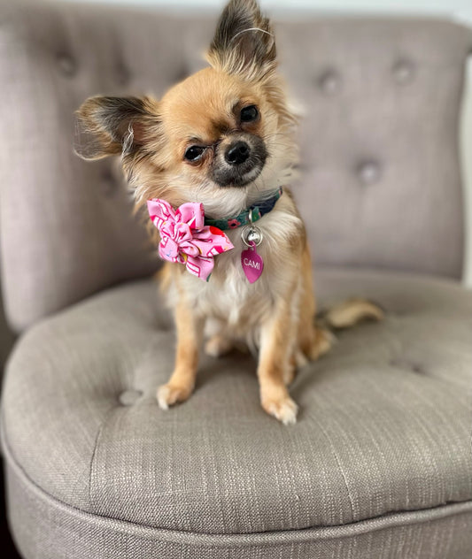 Birthday girl pet flower bow