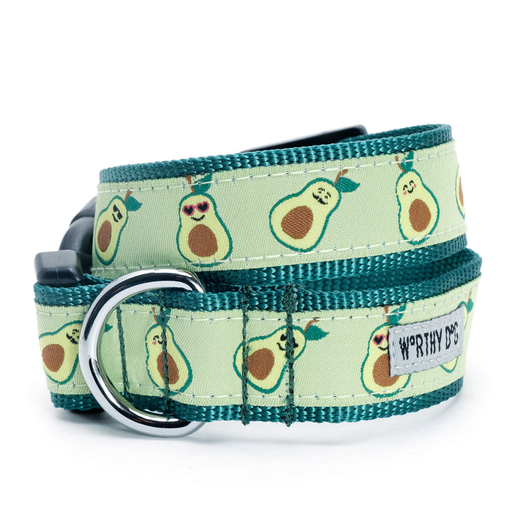 Avocado dog collar and leash set