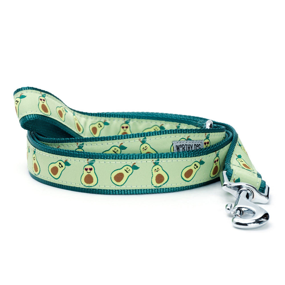 Avocado dog collar and leash set