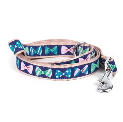 Bow tie dog collar and leash set