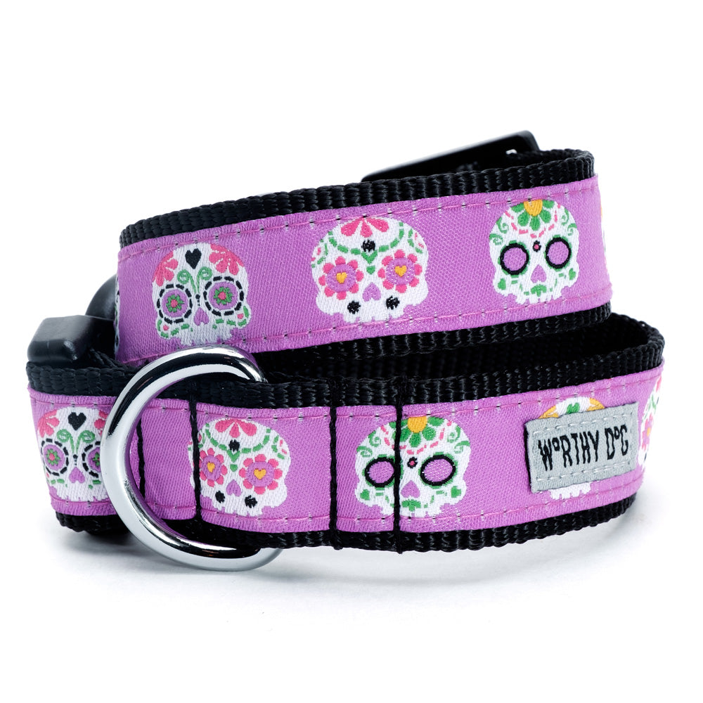 Purple Skeleton dog collar and leash set