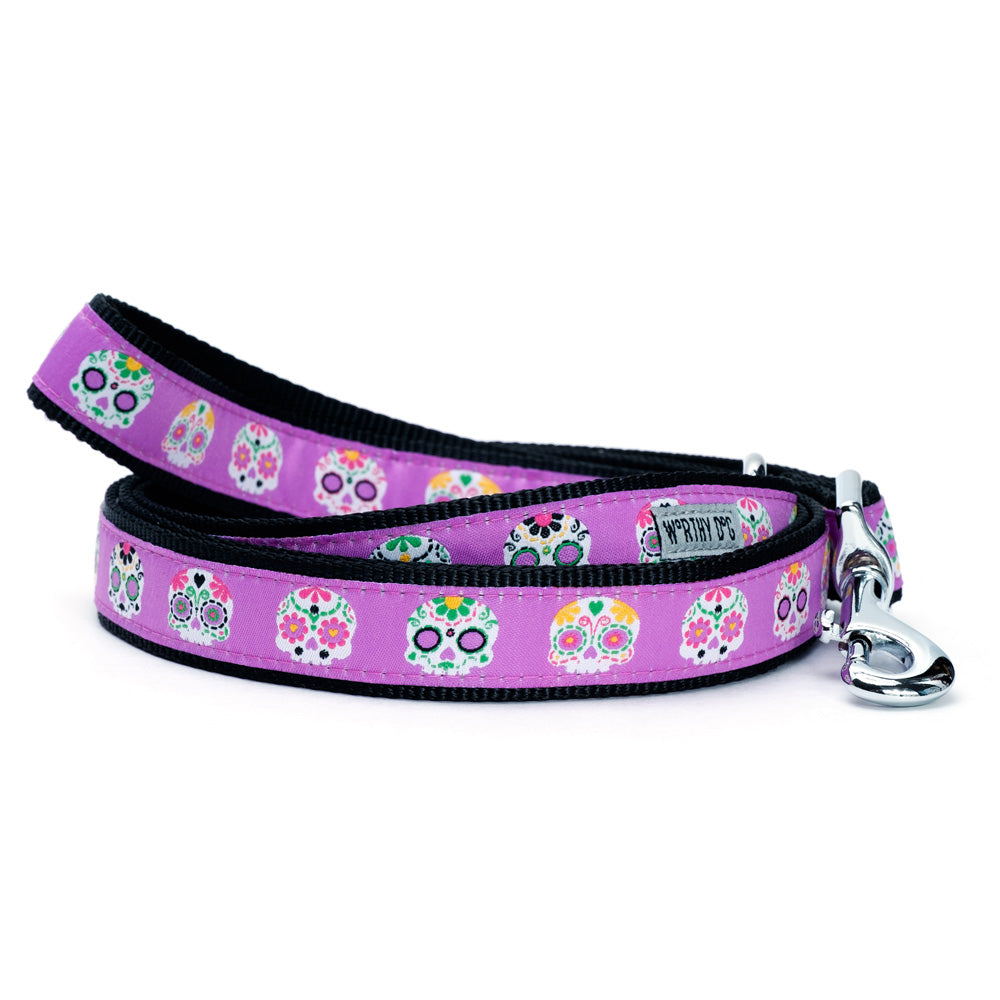 Purple Skeleton dog collar and leash set