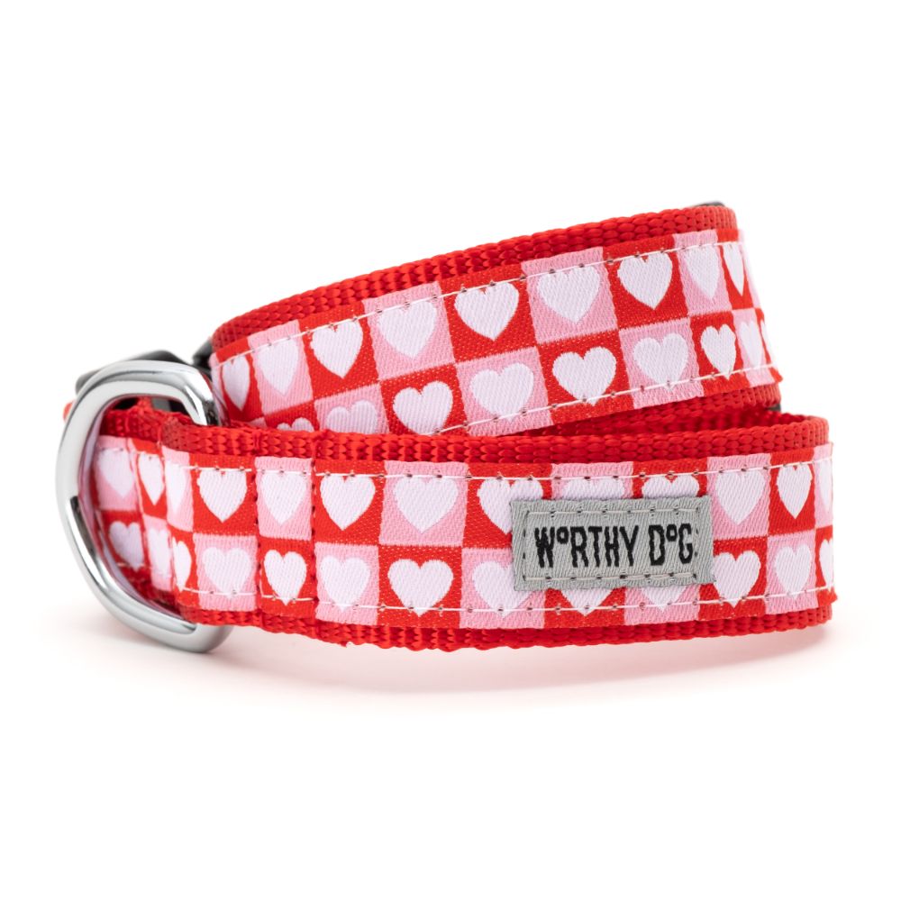 Valentine red, pink and white dog collar and leash set