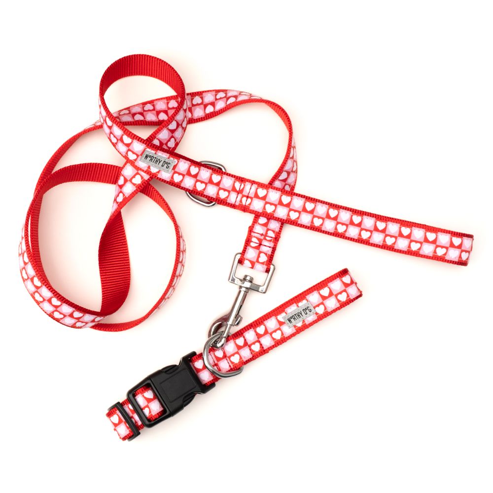 Valentine red, pink and white dog collar and leash set