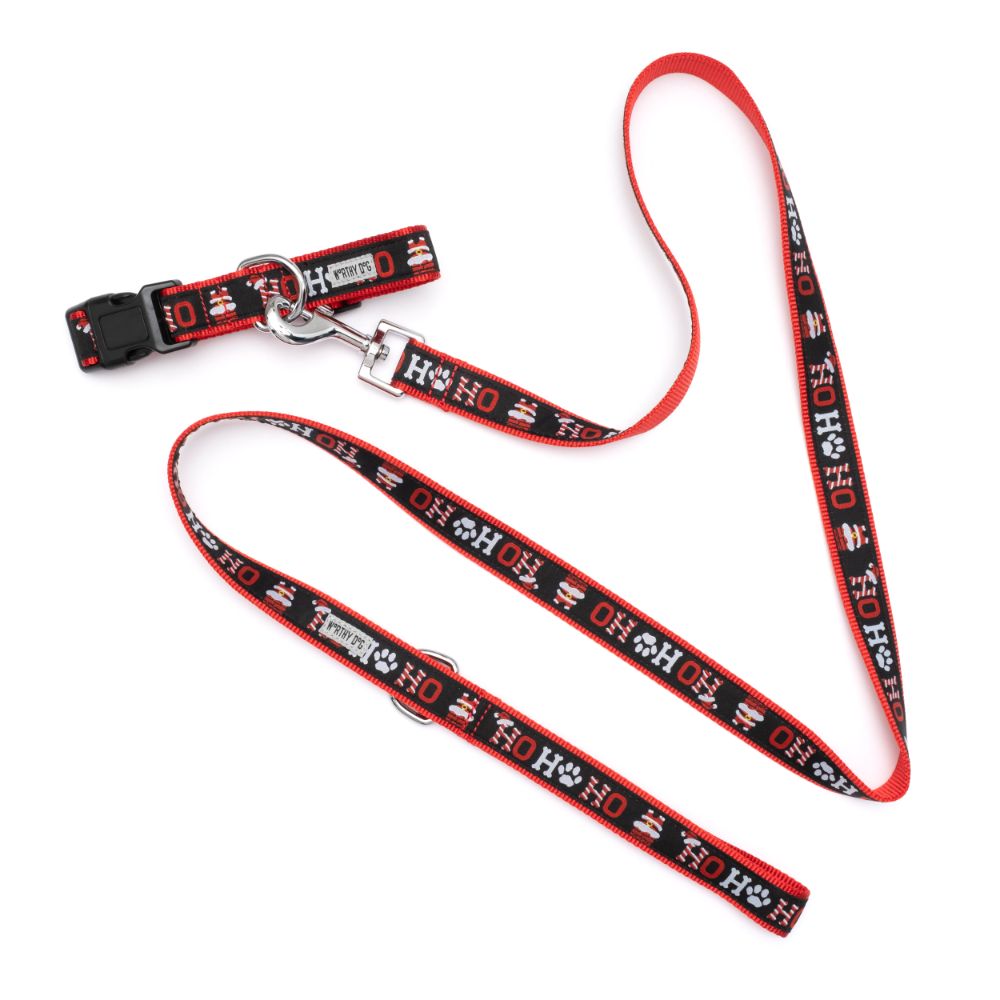 HO HO HO dog collar and leash set