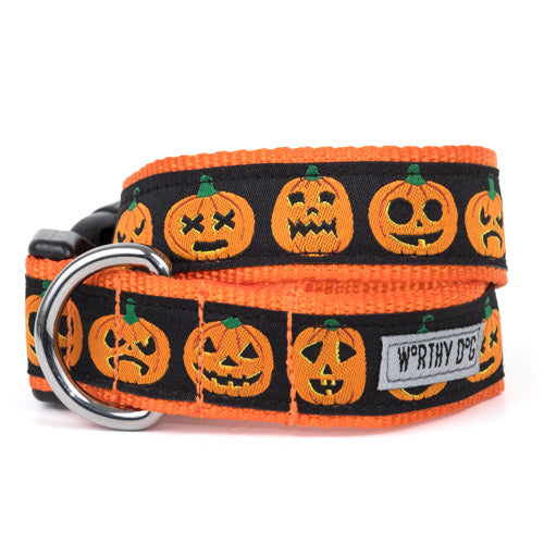 Jack-O-Lantern dog collar and leash set