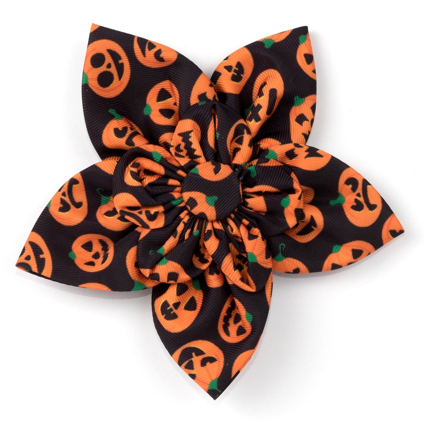 Jack-O-Lantern dog flower bow