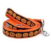 Jack-O-Lantern dog collar and leash set