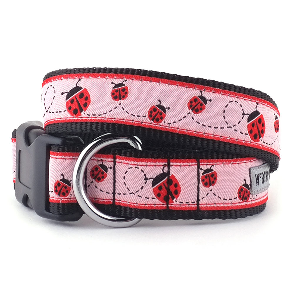 dog collar and leash set