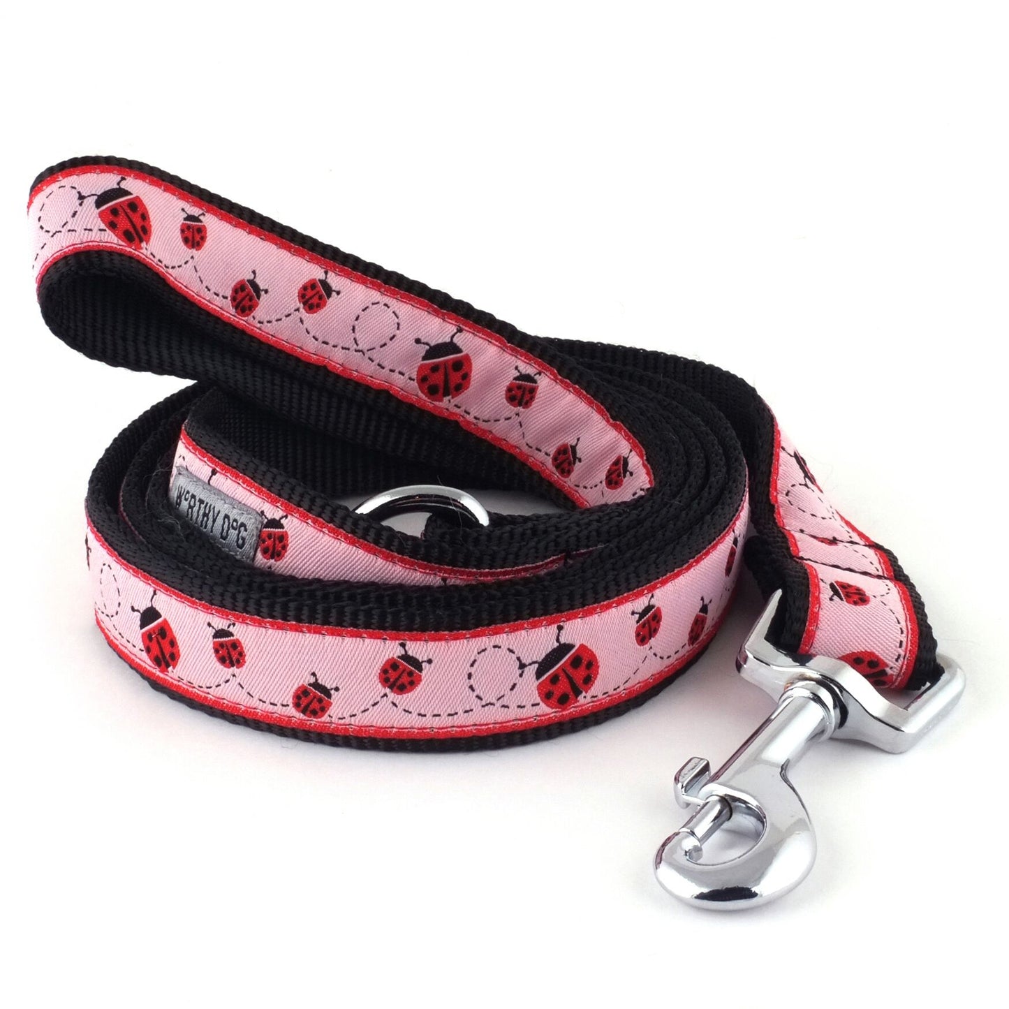 dog collar and leash set