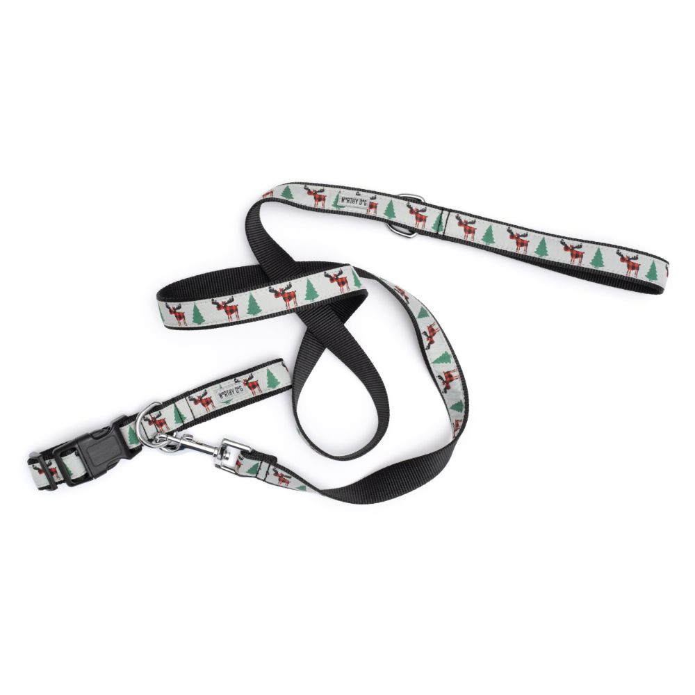 Christmas Moose dog collar and leash set