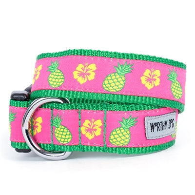 Pineapple dog collar and leash set