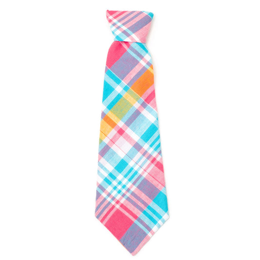 Spring Plaid Dog Tie