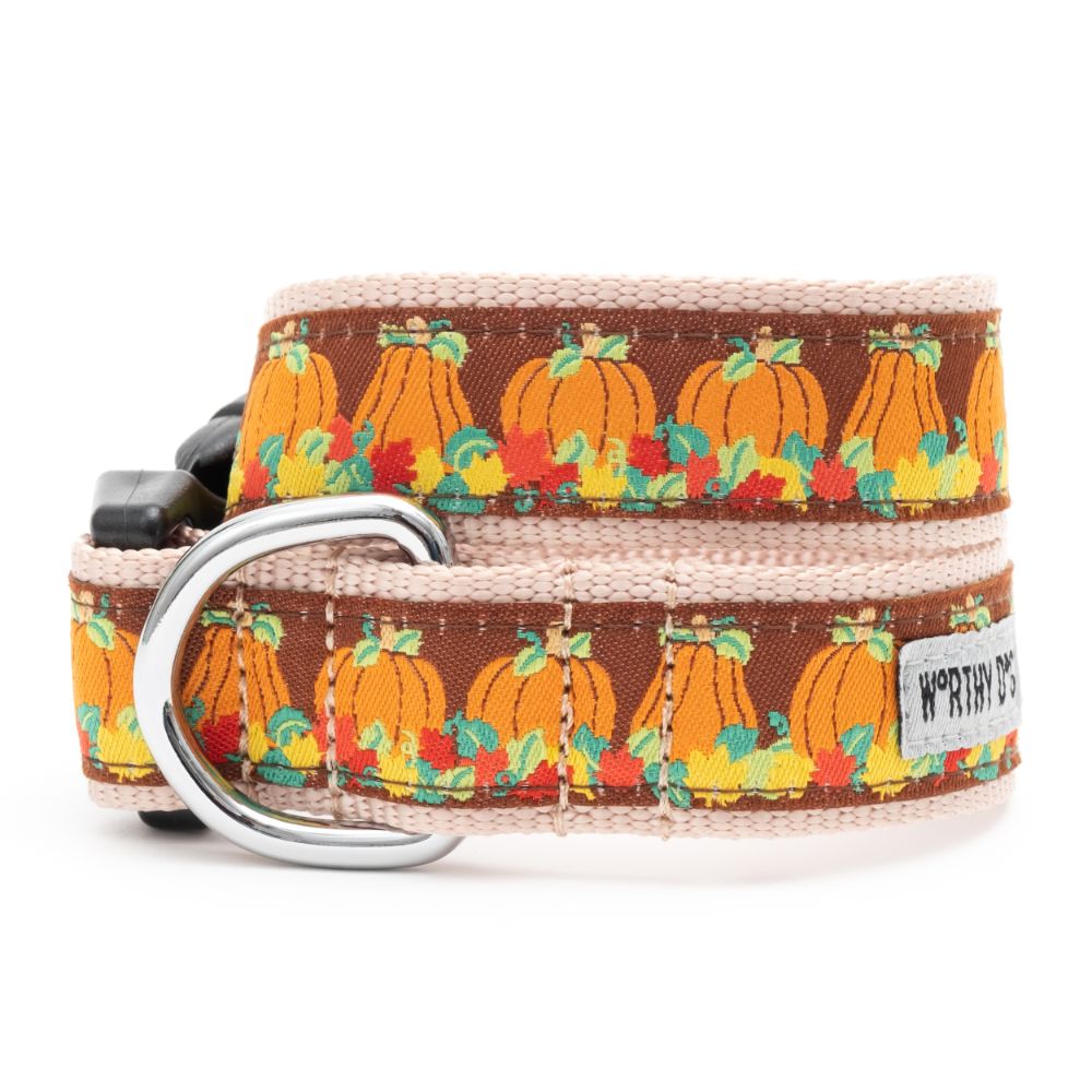 Pumpkin Patch dog collar and leash set