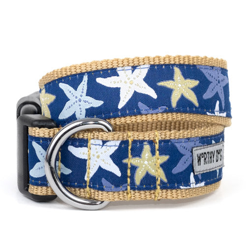 Starfish dog collar and leash set