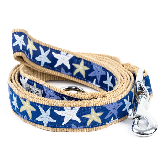 Starfish dog collar and leash set